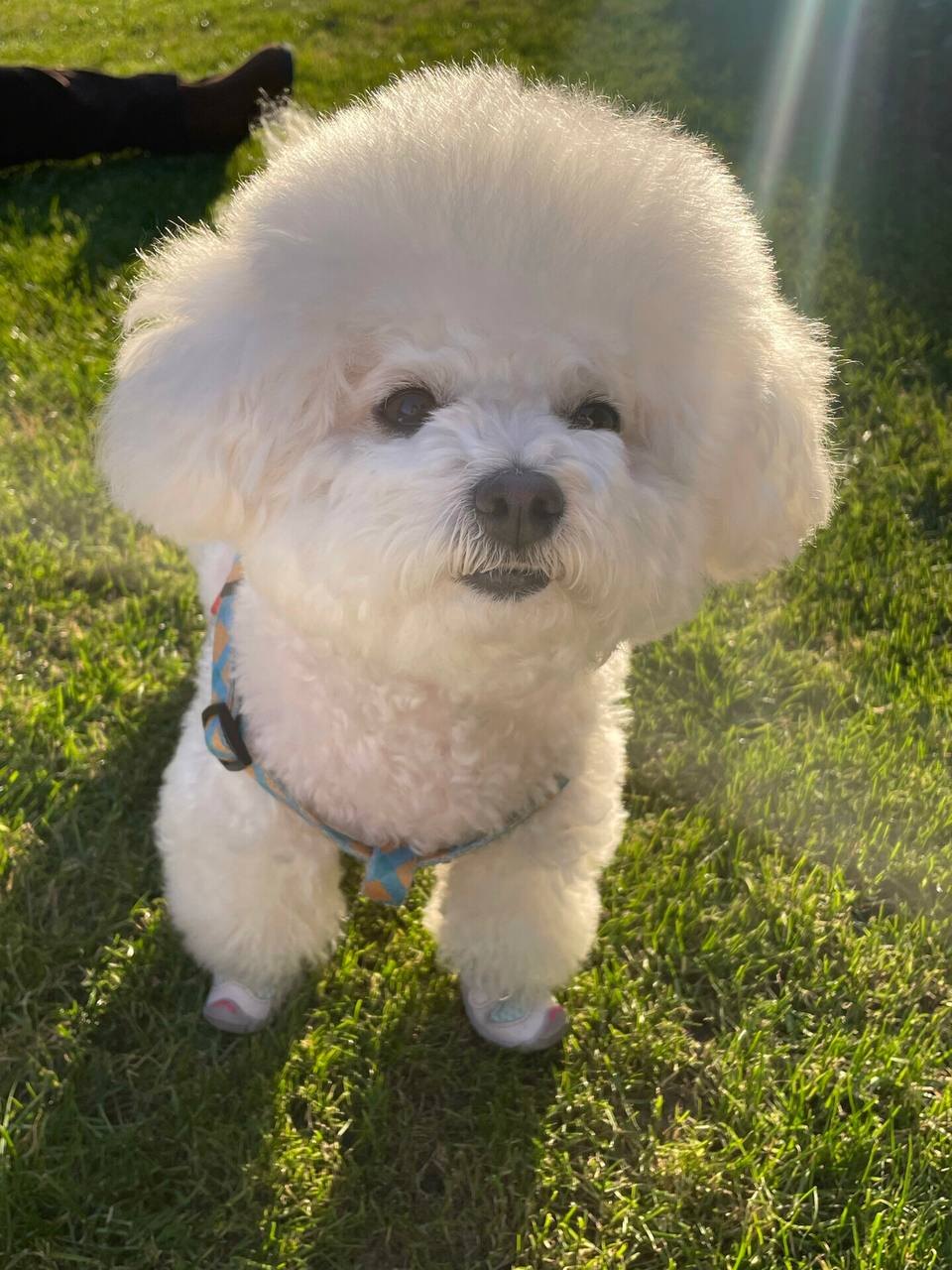 Beibei