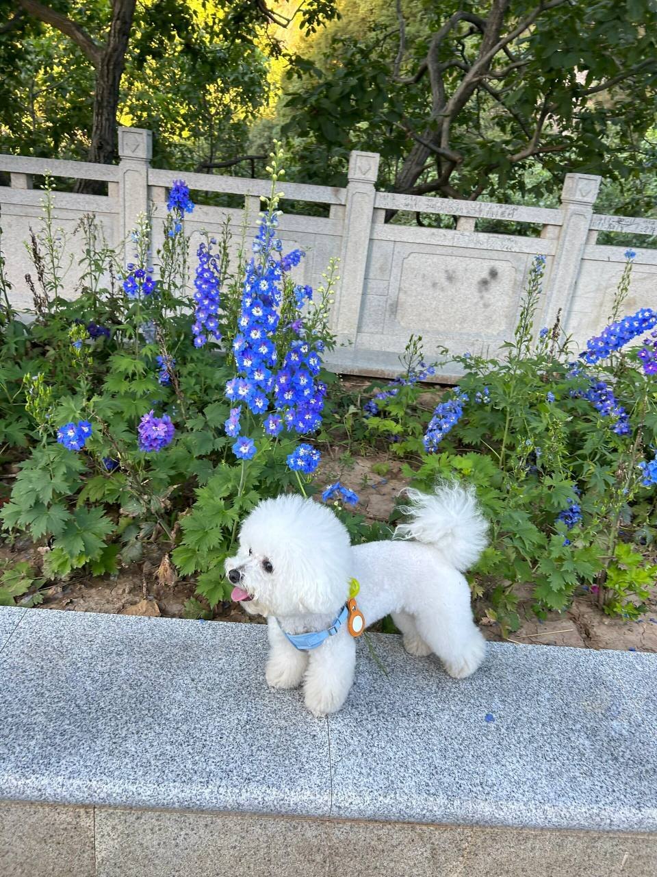 Beibei